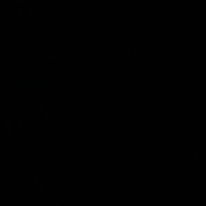 Meet your Posher, Kaden